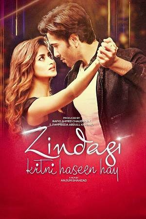 Zindagi Kitni Haseen Hai (2016)